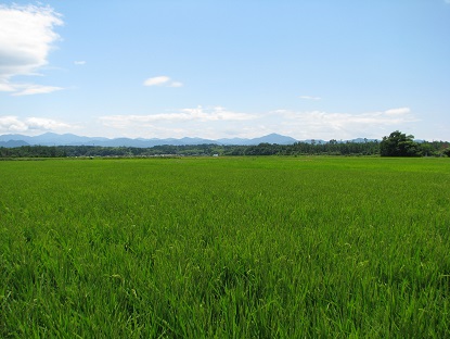 篠原