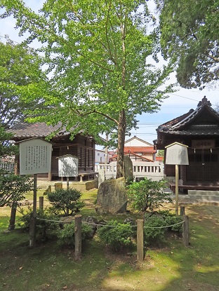 松尾神社前の芭蕉句碑