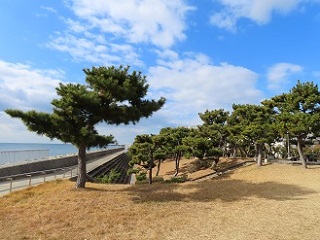大蔵海岸公園